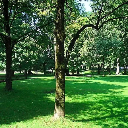 Hofmann Salzburg